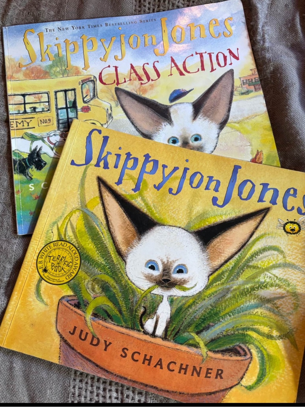 Skippyjon Jones Children’s Books